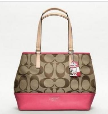 coach bags - 19354 rose pink/coffee